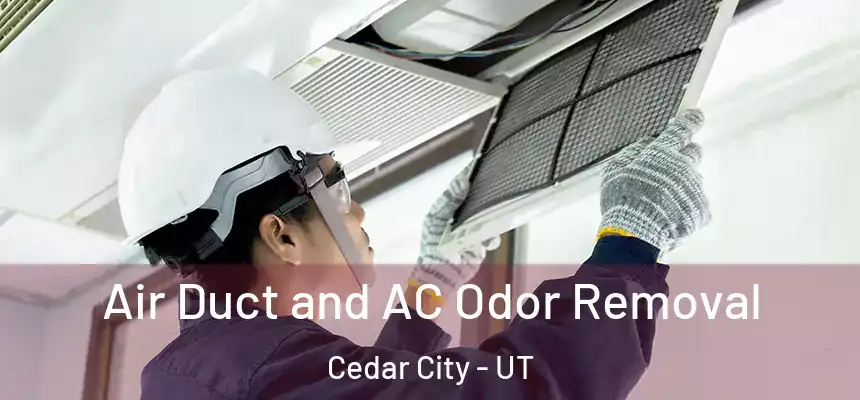  Air Duct and AC Odor Removal Cedar City - UT