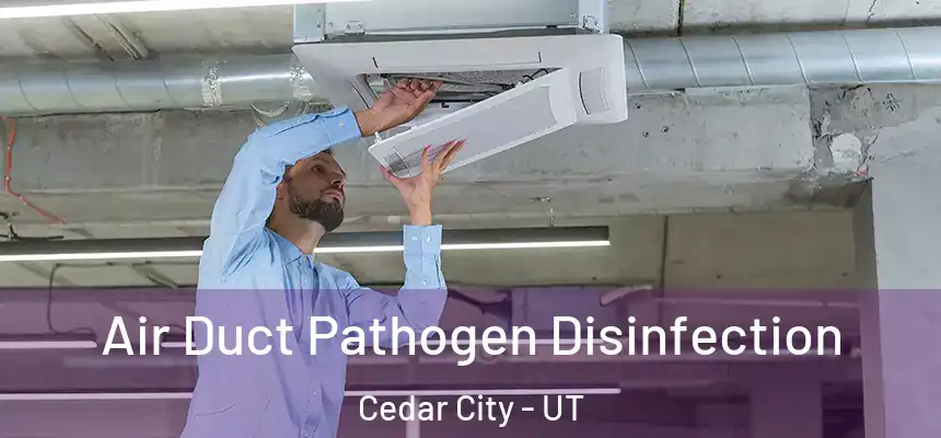 Air Duct Pathogen Disinfection Cedar City - UT
