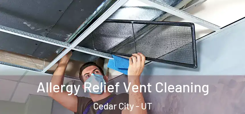 Allergy Relief Vent Cleaning Cedar City - UT