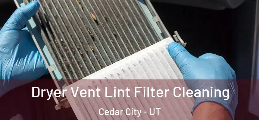 Dryer Vent Lint Filter Cleaning Cedar City - UT