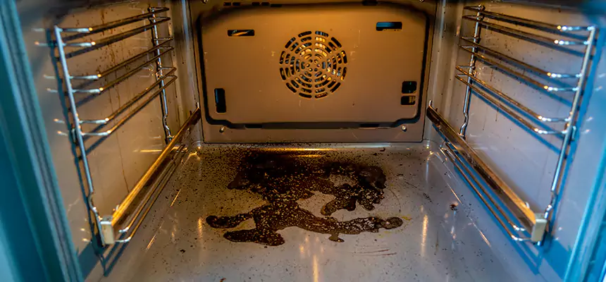 Our Dryer Vent Mold Cleaning Services in Cedar City, UT