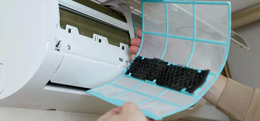 Gentle Ductwork Odor-Control Pet Dander Duct Cleaning in Cedar City, UT