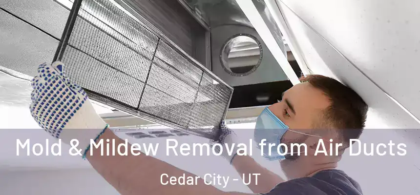  Mold & Mildew Removal from Air Ducts Cedar City - UT
