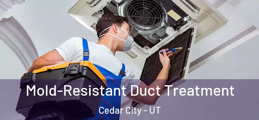  Mold-Resistant Duct Treatment Cedar City - UT