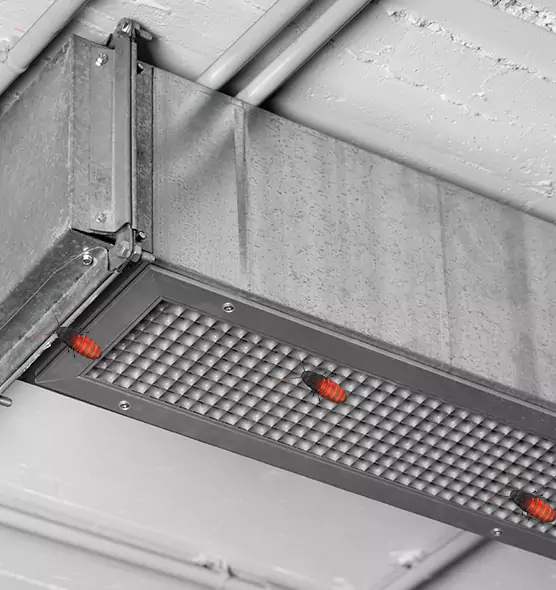 Affordable Insect Removal from Air Ducts in Cedar City, UT