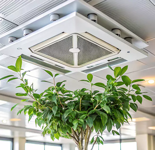 Why Homeowners & Businesses Trust Us in Cedar City, UT?