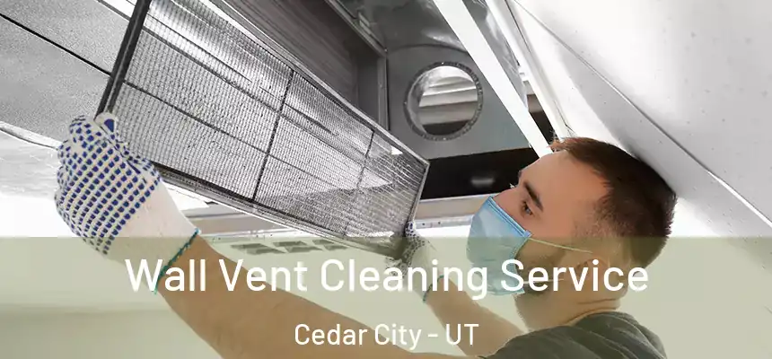 Wall Vent Cleaning Service Cedar City - UT